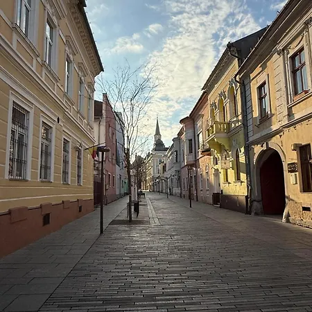 Chic City-center Apartment, Quiet Pedestrian Lane Cluj-Napoca